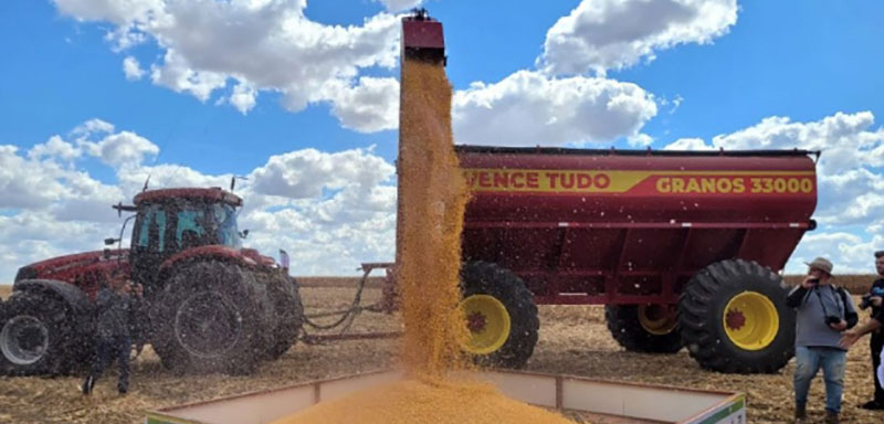 Mato Grosso deve produzir mais de 12 bilhões de litros de etanol do milho em até 10 anos